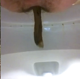This brief, but nice clip shows a between the legs perspective of a woman taking a soft, long shit into a toilet.